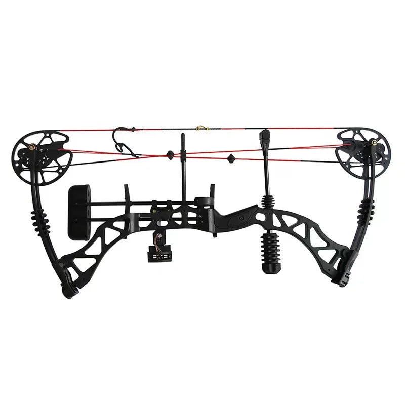 Hi Top Compound Hybrid Bow Full Sets Outdoor Hunting Compound Bow Set With All of Accessories  China Wholesale
