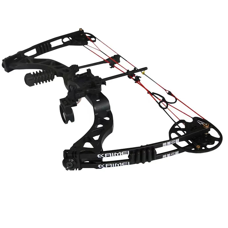 Hi Top Compound Hybrid Bow Full Sets Outdoor Hunting Compound Bow Set With All of Accessories  China Wholesale