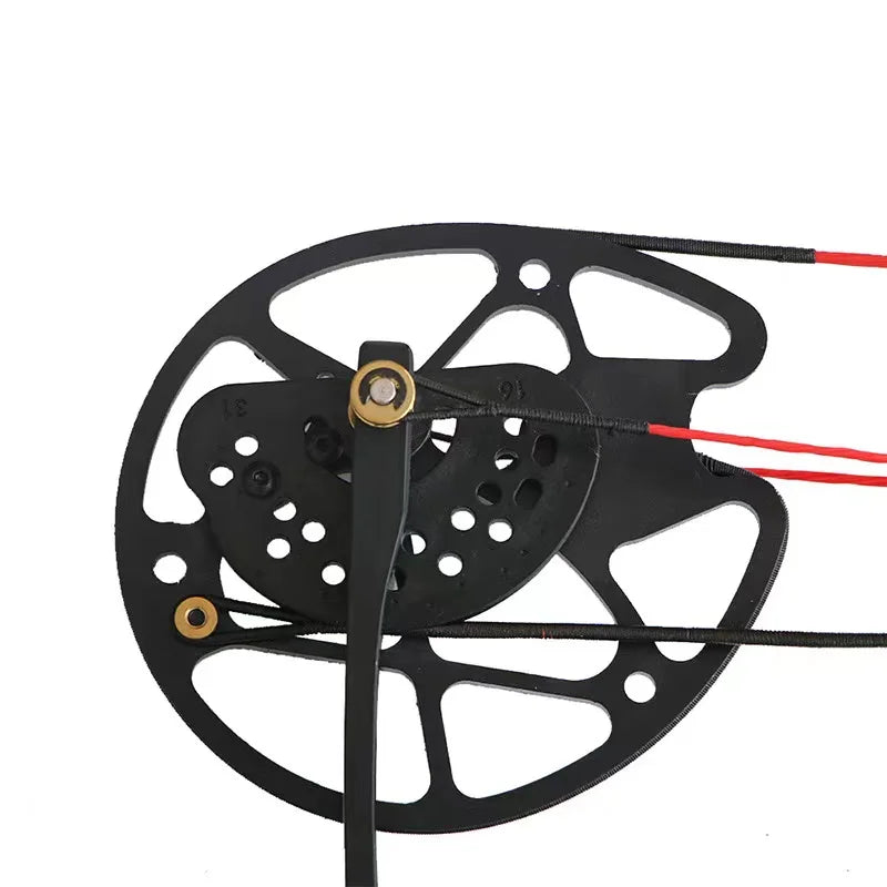 Hi Top Compound Hybrid Bow Full Sets Outdoor Hunting Compound Bow Set With All of Accessories  China Wholesale