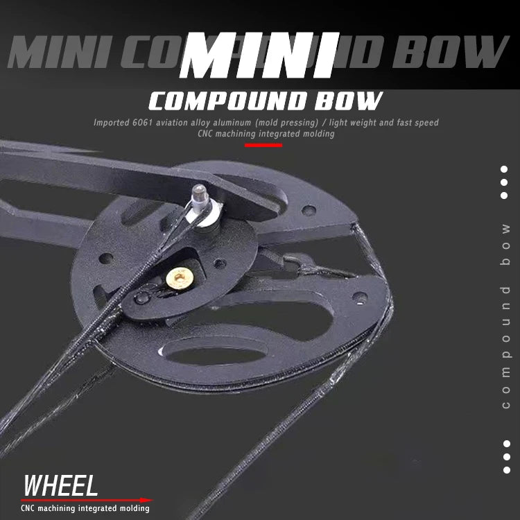 Hi Top Black 45Lbs Mini Compound Bow Archery China Compound Bow Mini Bow and Arrow Set for Hunting