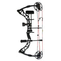 Hi Top Compound Hybrid Bow Full Sets Outdoor Hunting Compound Bow Set With All of Accessories  China Wholesale