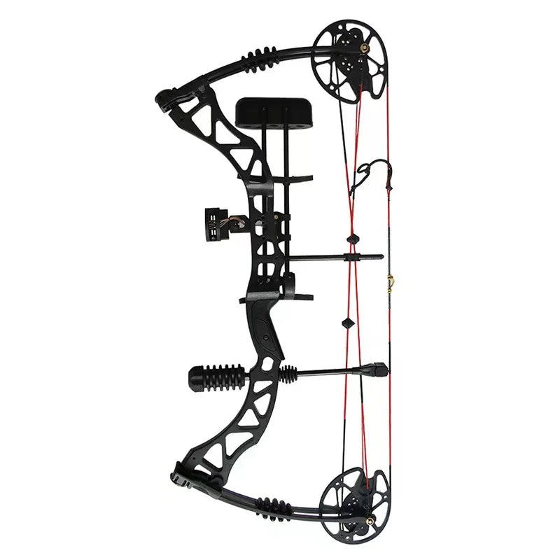 Hi Top Compound Hybrid Bow Full Sets Outdoor Hunting Compound Bow Set With All of Accessories  China Wholesale